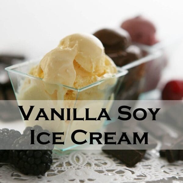 A close-up image of a glass dish filled with a scoop of vanilla soy ice cream, made using Elenka Hipsoya Low Fat Base (Soy Gelato Base), surrounded by fresh blackberries and dark chocolate pieces. The text "Vanilla Soy Ice Cream" is prominently displayed over the image.