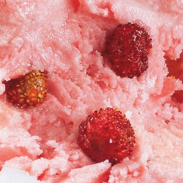 Close-up image of pink Elenka Nolat Fruit Sorbet Base with pieces of fresh strawberries embedded in it. The texture of the ice cream appears creamy and slightly grainy, while the strawberries are vibrant red with visible seeds.